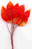 Red Orange Veined Large Leaves